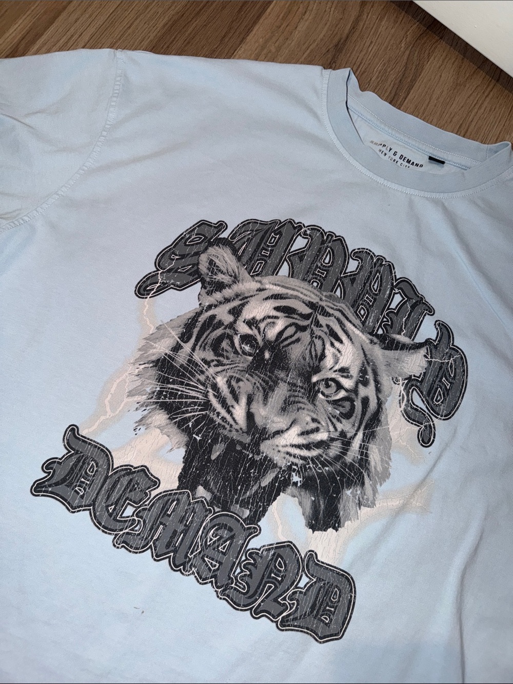Light Blue Graphic Tiger Tee by Zara